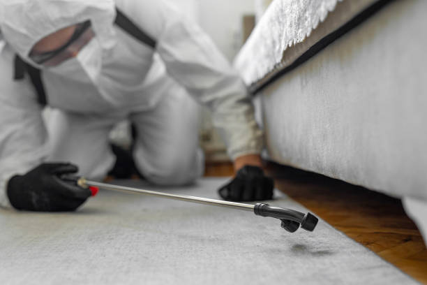 Professional Pest Control technician working in Ault, CO