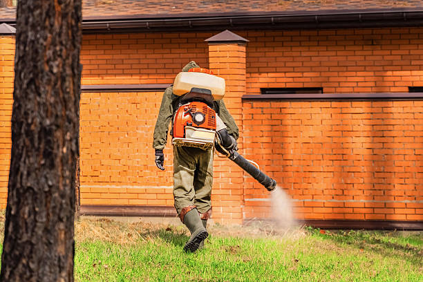 Trusted Fumigation Services service in Ault, CO - Nex Pest Control